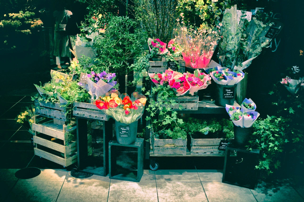 다운로드 (2).jpeg