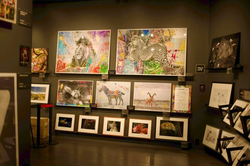 _MG_9708.jpeg?type=w800