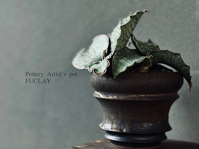 garage_toyohashi_1750244400_3657491420058957561_9362504922.jpg?type=w800