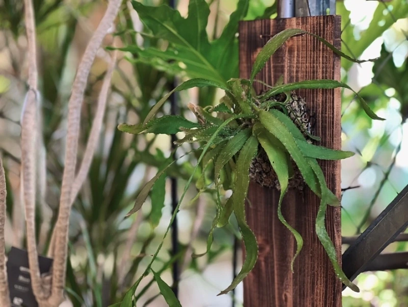 garage_toyohashi_1750071600_3656147376036846892_9362504922.jpg?type=w800