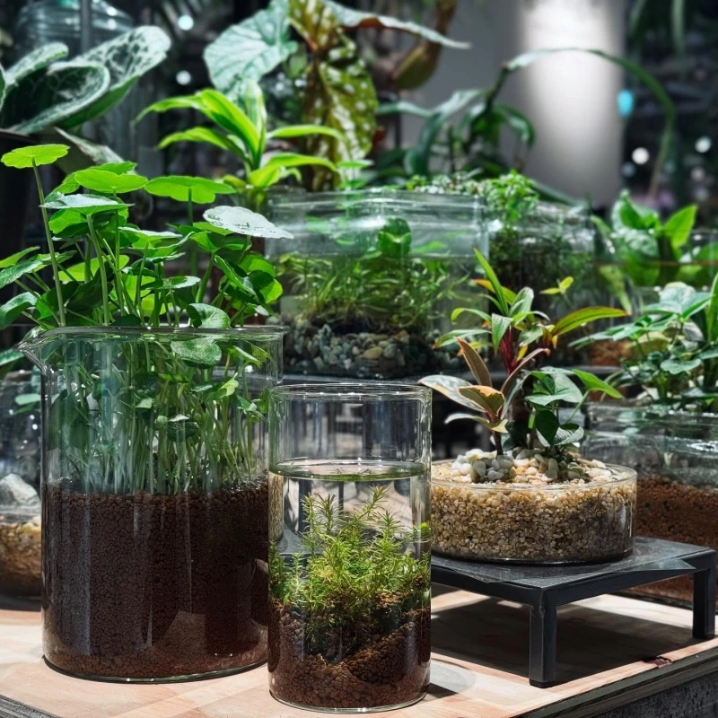 garage_livingwithplant_shibuya_1749378600_3648733291622515657_64029588762.jpg?type=w800