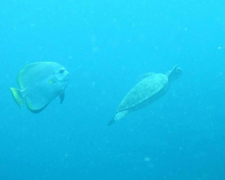 16_%EC%98%A4%ED%82%A4%EB%82%98%EC%99%80_%EC%9D%B4%EC%8B%9C%EA%B0%80%ED%82%A4%EC%84%AC_%288%29.JPG?type=w740