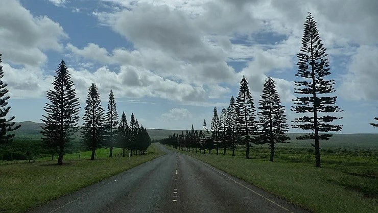 L1980262.JPG?type=w740