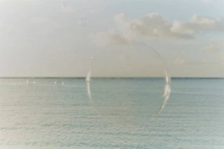 DSC00057-1.jpg?type=w740