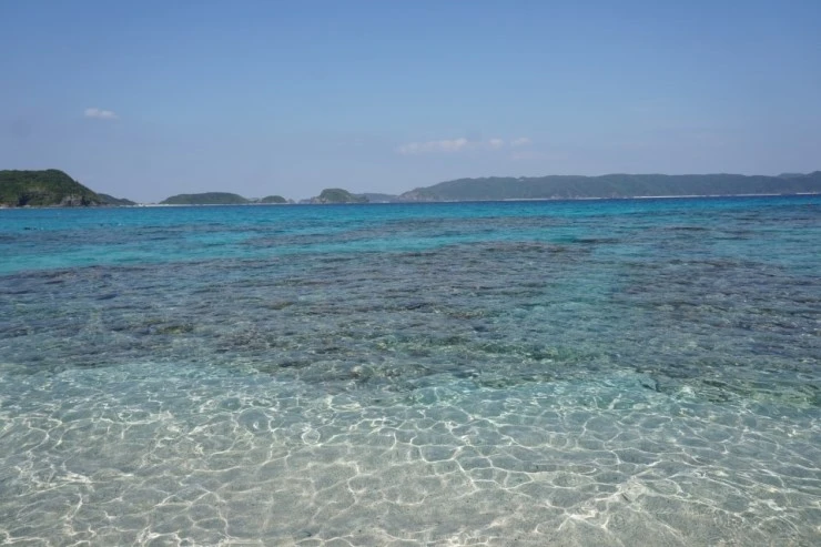 17_%EC%98%A4%ED%82%A4%EB%82%98%EC%99%80_%EC%9E%90%EB%A7%88%EB%AF%B8_%2818%29.JPG?type=w740