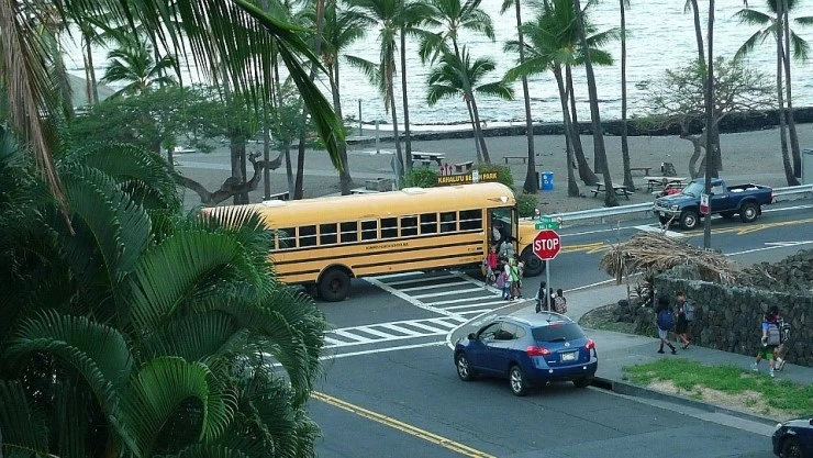 L2020035.JPG?type=w740