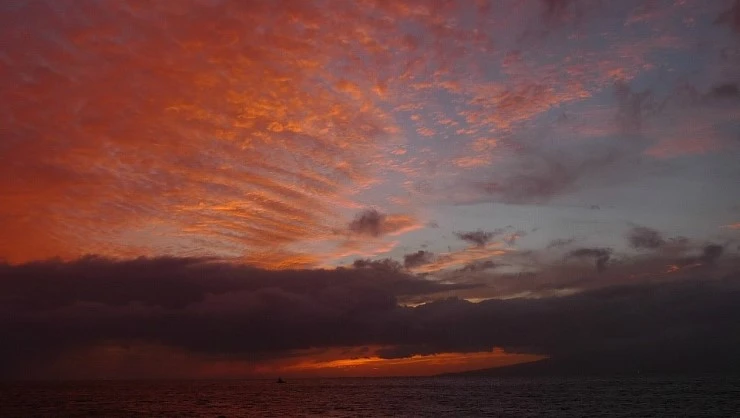 L1560677.JPG?type=w740