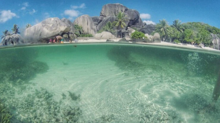 KakaoTalk_20180110_120913365.jpg?type=w740