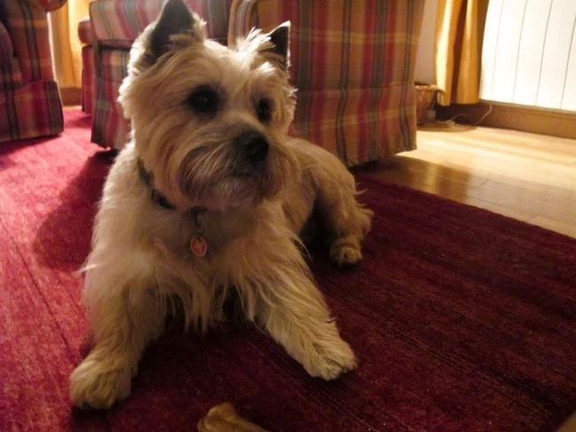 IMG_2050.jpg?type=w740