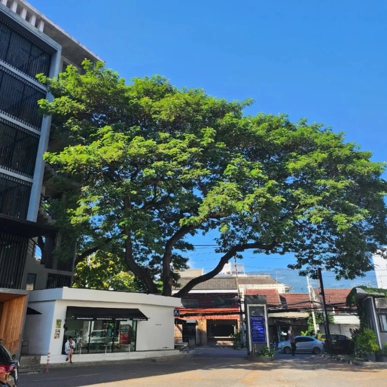 20221130%EF%BC%BF101710.jpg?type=w773