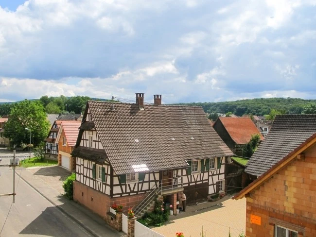 IMG_8232.jpg?type=w740