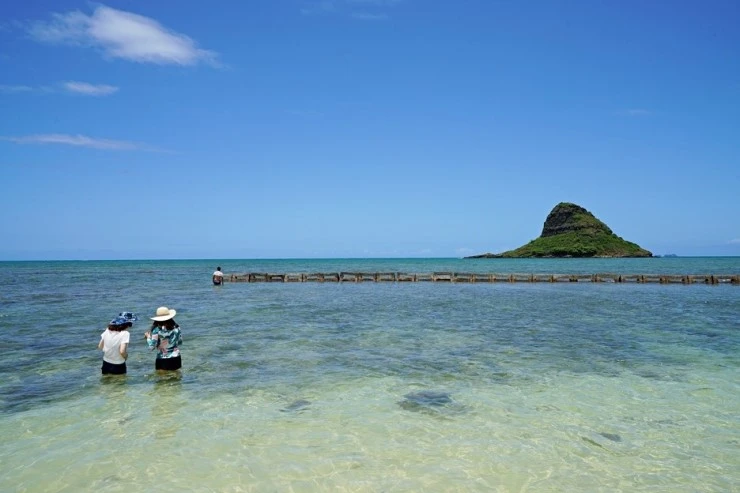 2%28%EB%A7%88%29.JPG?type=w740