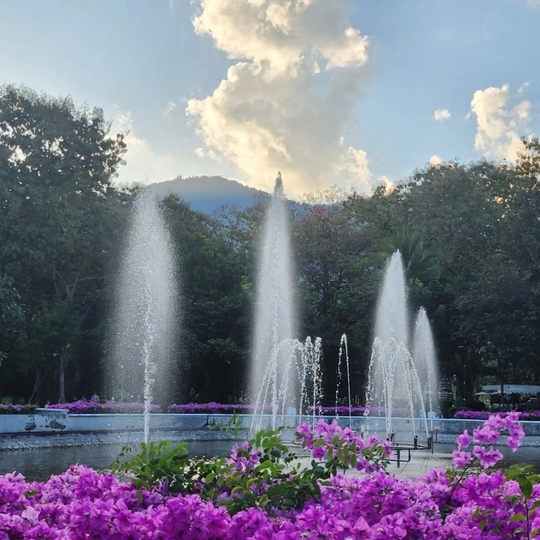 SE-f806828b-7aec-11ed-8eb6-ed9f8701f37c.jpg?type=w773