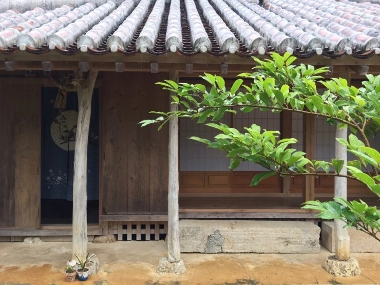 KakaoTalk_20180309_152402143.jpg?type=w740