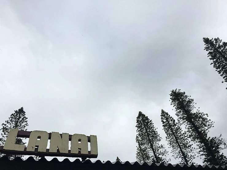 IMG_7867.JPG?type=w740