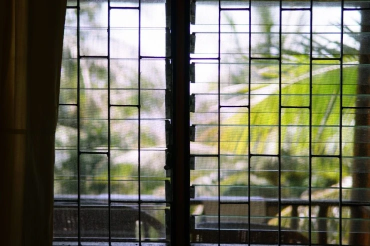 DSC01385.JPG?type=w740