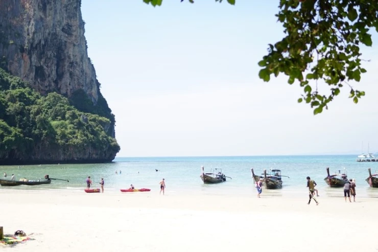 DSC01377.JPG?type=w740