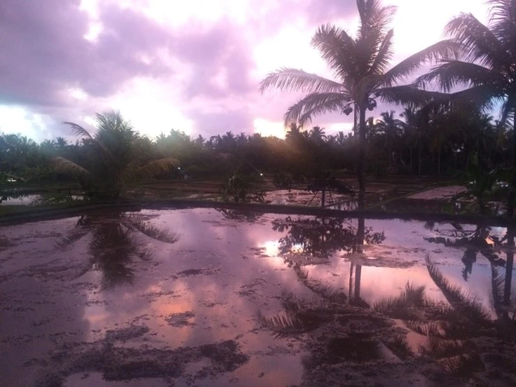 P20150129_185744942_6930FC0B-A08B-47A5-86FC-04F83D939C95.JPG?type=w740