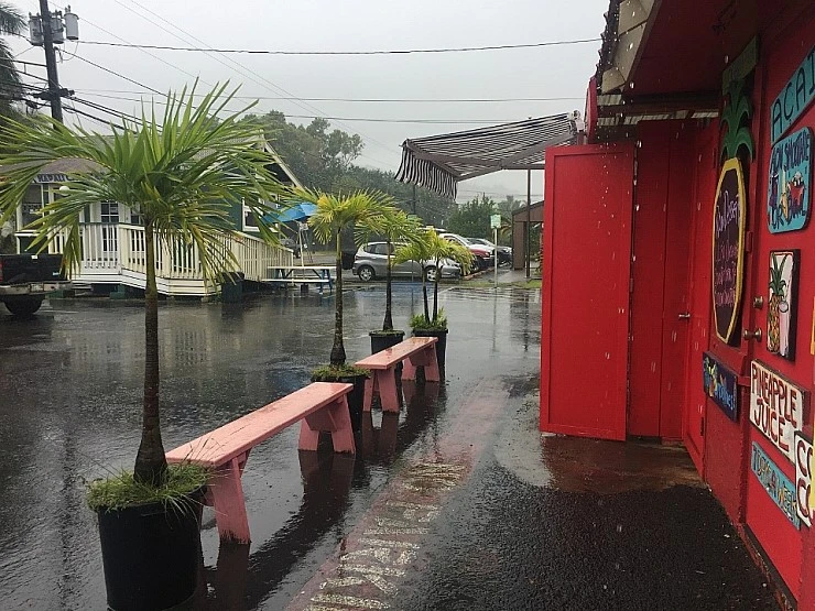 IMG_9618.JPG?type=w740