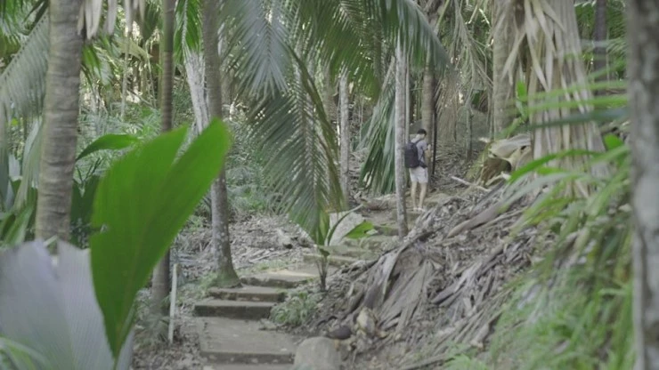 DSC04293.jpg?type=w740