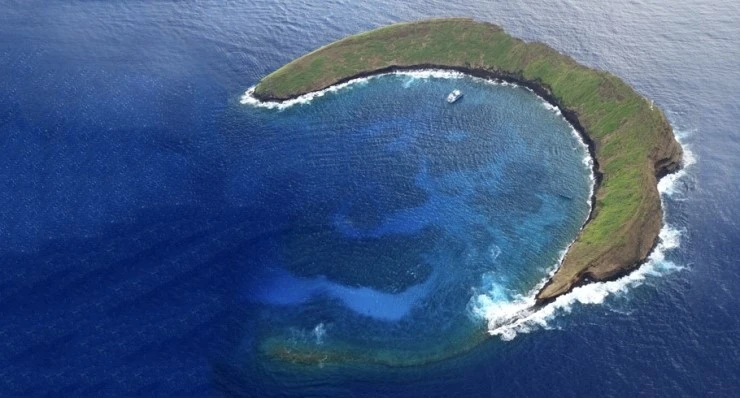 molokini1.jpg?type=w740