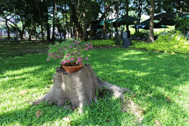 IMG_7431.JPG?type=w740