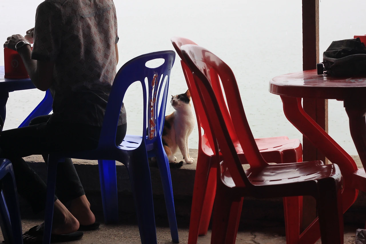 기타이미지 (41).JPG