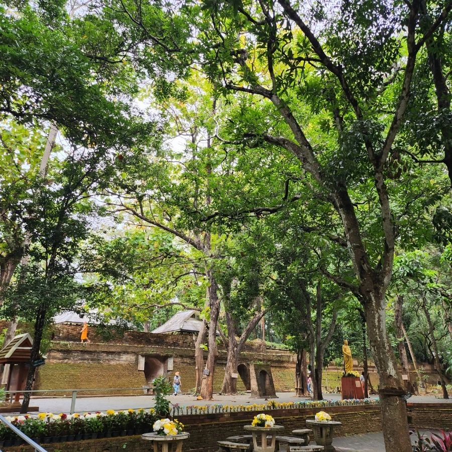 20221202%EF%BC%BF111436.jpg?type=w1