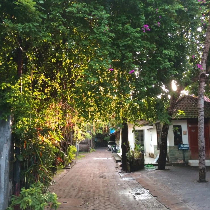 P20150126_070202691_8E2E4842-65D6-4BC4-8C5D-C0933DB100B5.JPG?type=w740