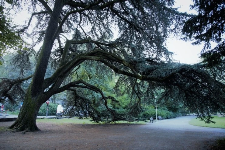 IMG_4511.jpg?type=w740