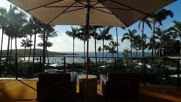 L1980175.JPG?type=w740