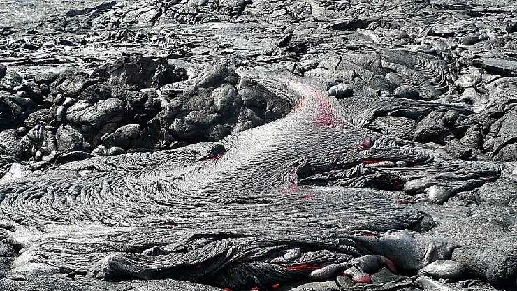 L2020571.JPG?type=w740