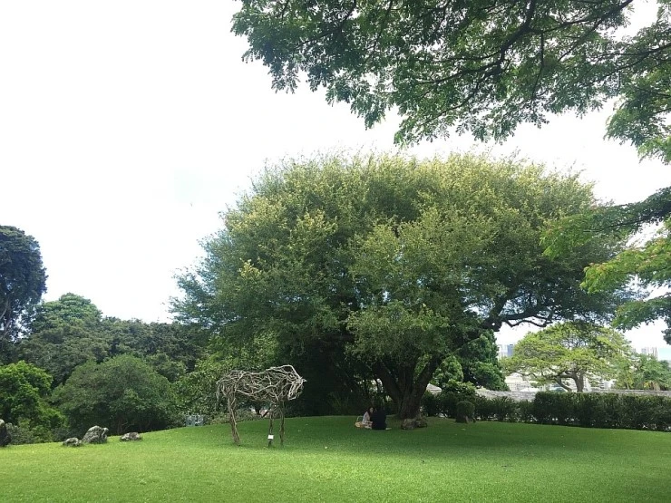 IMG_9383.JPG?type=w740