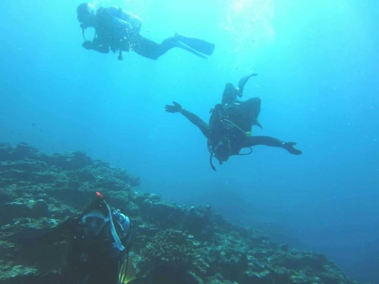 16_%EC%98%A4%ED%82%A4%EB%82%98%EC%99%80_%EC%9D%B4%EC%8B%9C%EA%B0%80%ED%82%A4%EC%84%AC_%287%29.JPG?type=w740