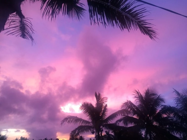 P20150129_185751667_BF8FB127-2BEA-4E01-937C-5869A737B993.JPG?type=w740