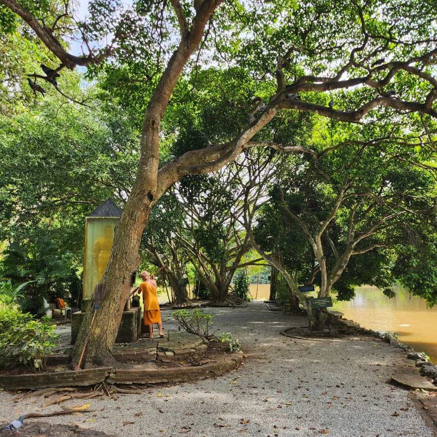 20221202%EF%BC%BF115221.jpg?type=w1