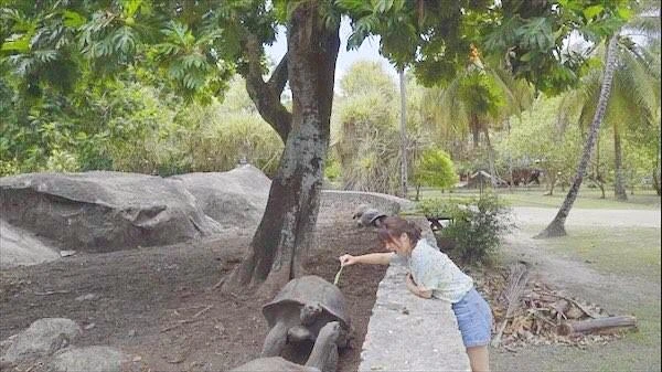 KakaoTalk_20180110_120913160.jpg?type=w740