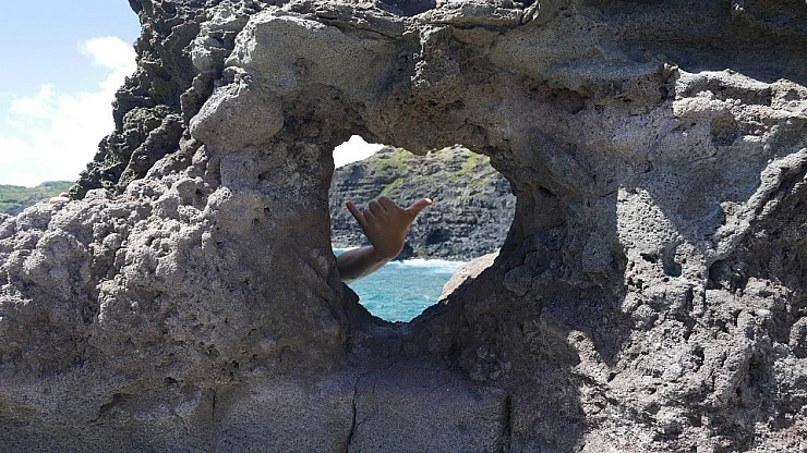 L2110691.JPG?type=w740