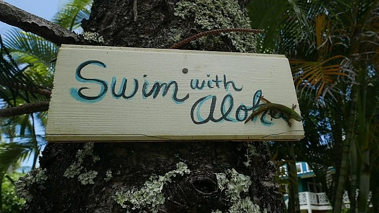 L2110856.JPG?type=w740