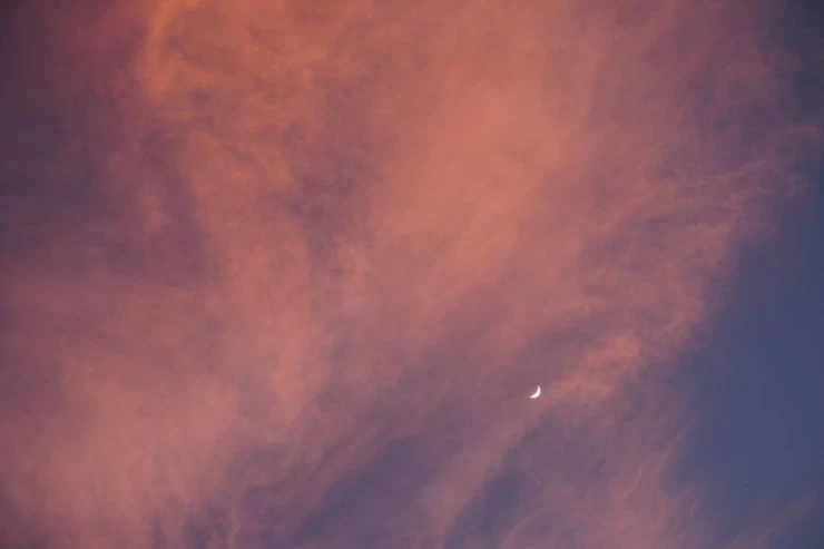 DSC02984.JPG?type=w740