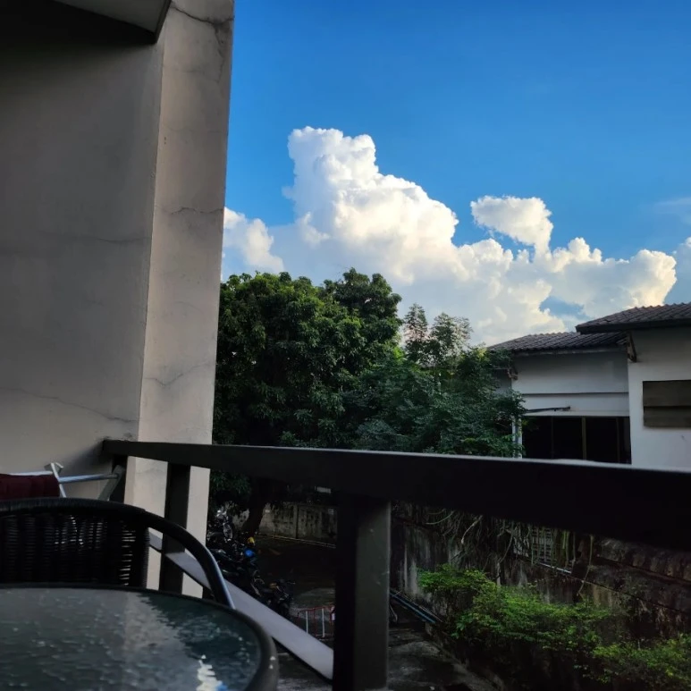 IMG%EF%BC%BF20221130%EF%BC%BF165515%EF%BC%BF314.jpg?type=w773