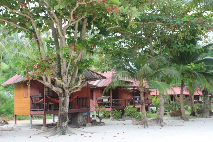 IMG_1882.JPG?type=w740