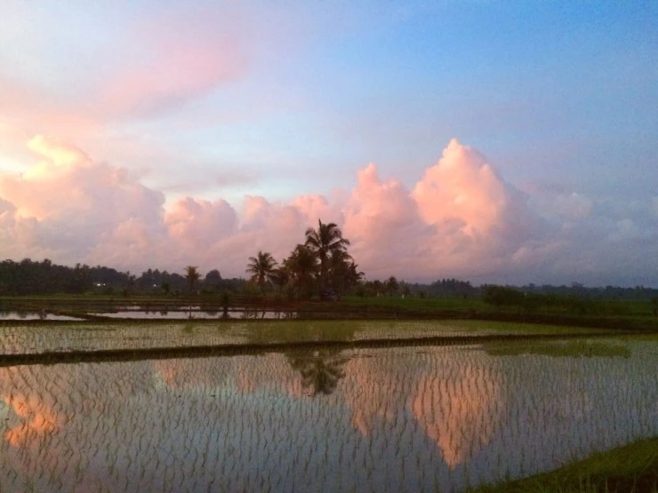 P20150128_190308838_17A9B411-357E-440D-AB1C-096A3EC264AD.JPG?type=w740