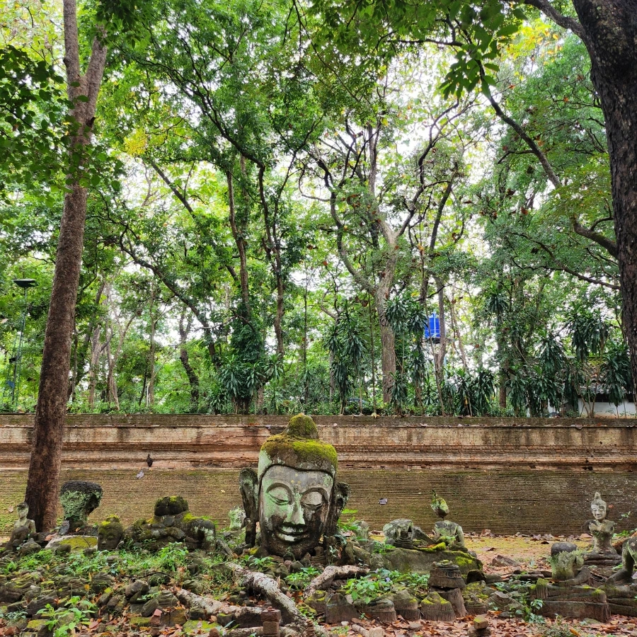 20221202%EF%BC%BF112037.jpg?type=w1