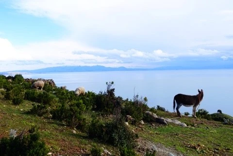 NaverBlog_20150414_223456_19.jpg?type=w740