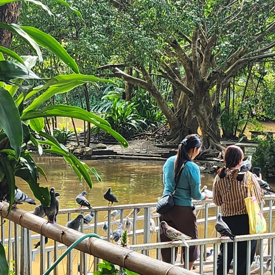 20221202%EF%BC%BF120359.jpg?type=w1