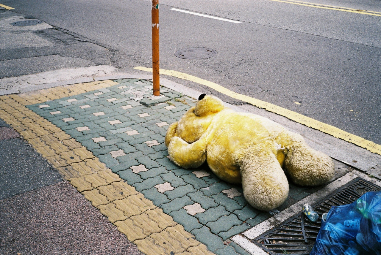 친구야 사랑이라니2.jpg