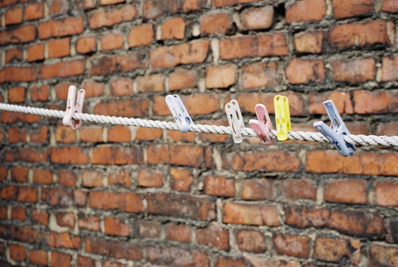 너와 나 그리고 줄넘기2.jpg