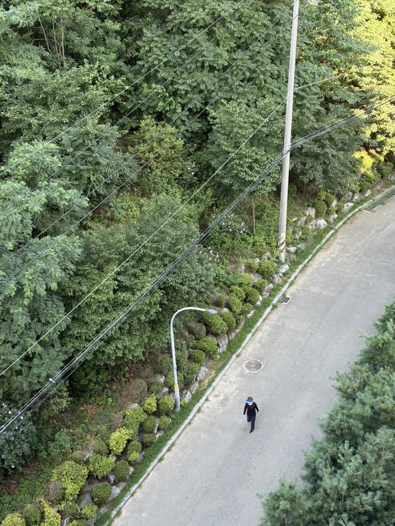 D5DC854B-AED3-4C38-8FEA-586E24FB31F7_1_105_c.jpeg?type=w1