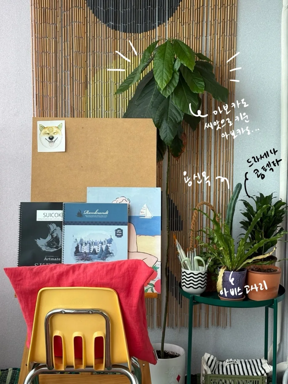 IMG_0117.jpeg?type=w1